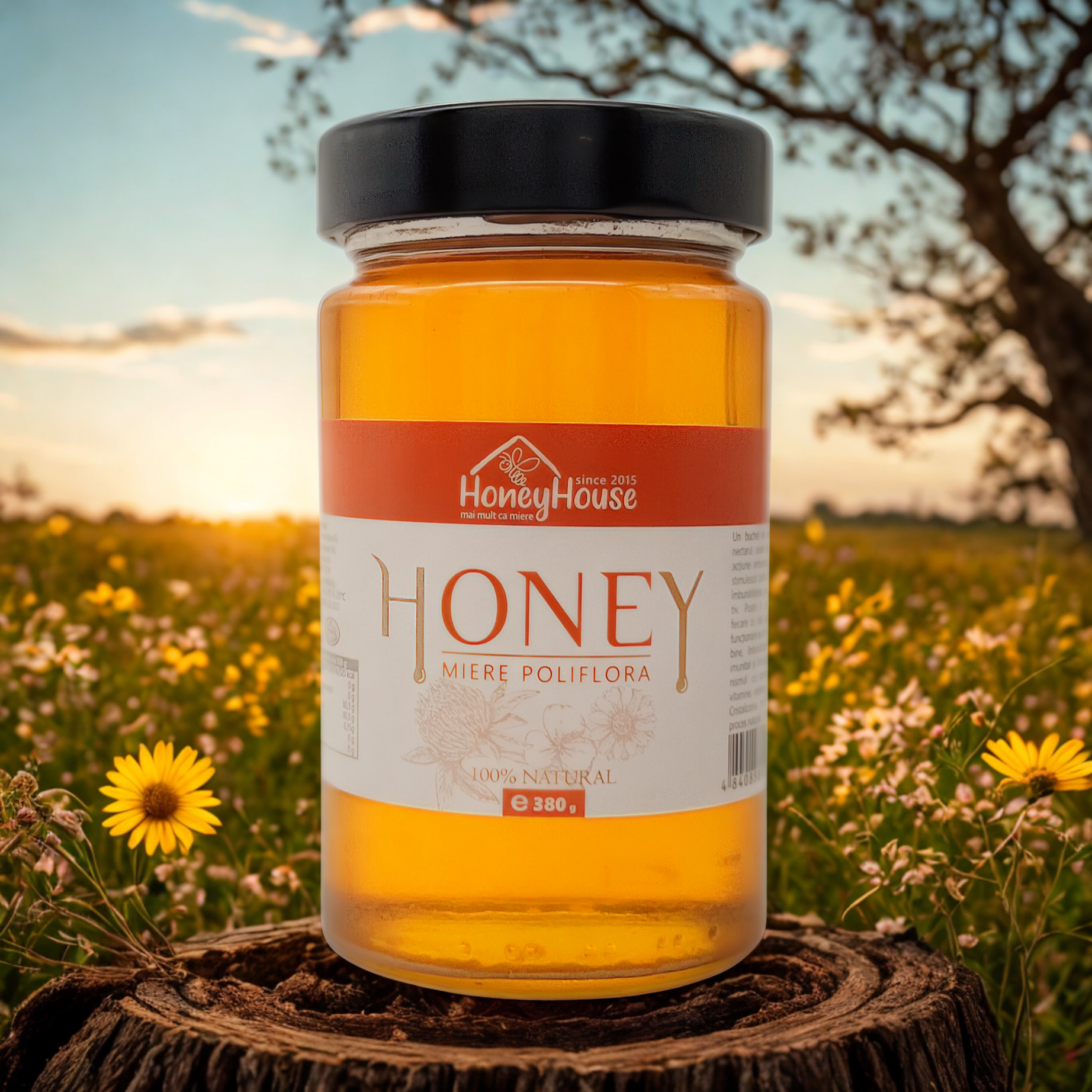 Multifloral honey 380g